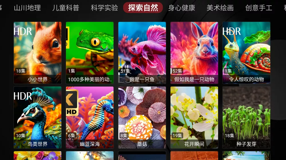 宝宝趣学TVbox电视版，儿童在线免费学习百科知识软件！